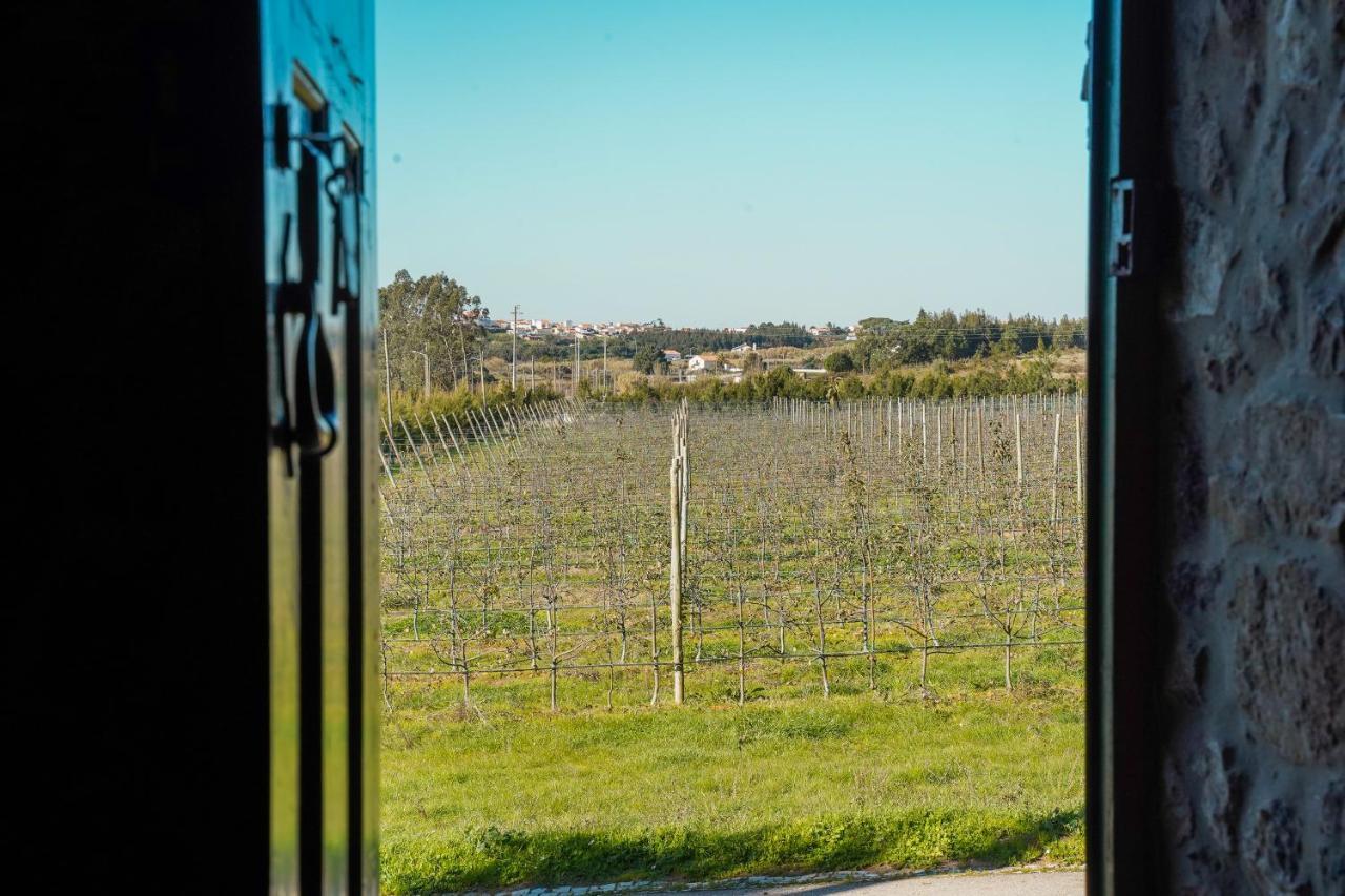 Casa Rustica, Perto Do Castelo De Obidos Villa Buitenkant foto